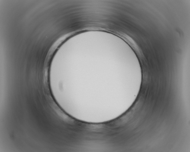 X0000113321196200910131122