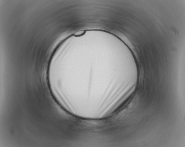 X0000113321197200910131122