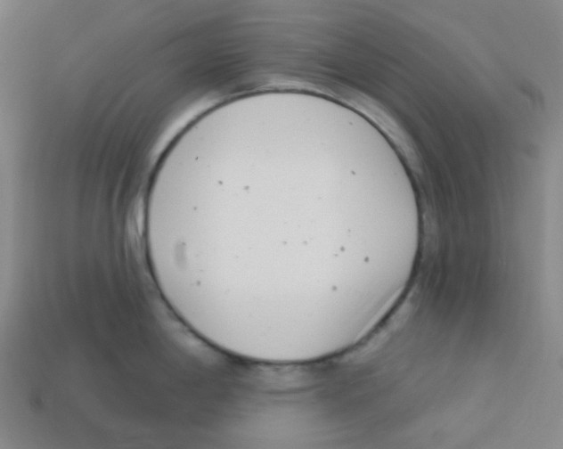 X0000113321198200910131122