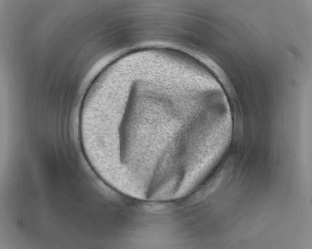 X0000113321199200910131122