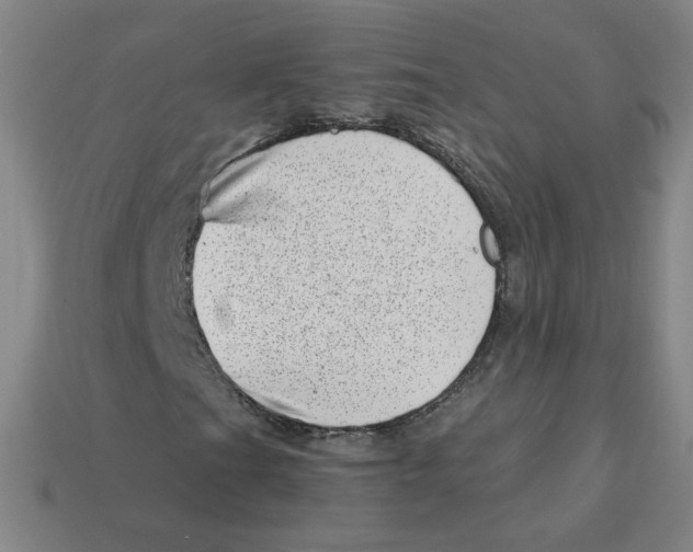 X0000113321201200910131121