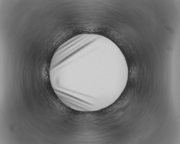 X0000113321202200910131121