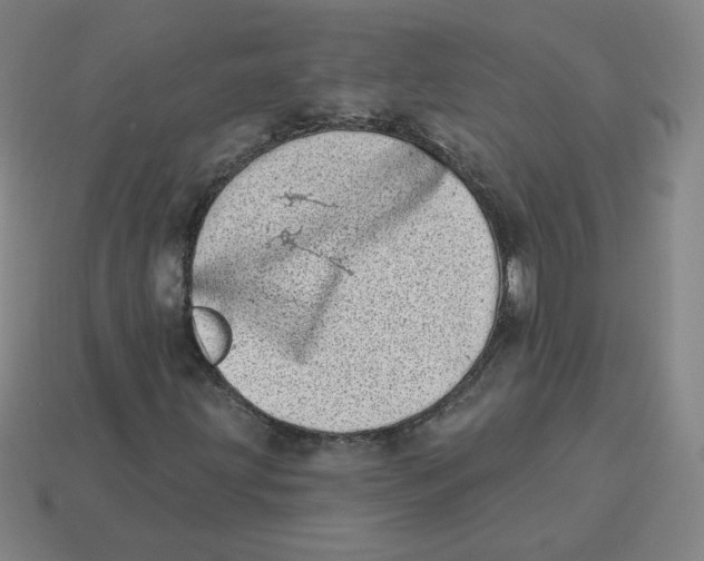 X0000113321203200910131121