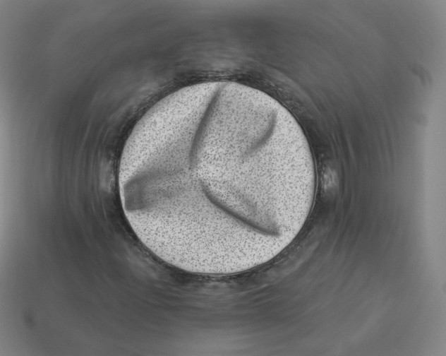 X0000113321204200910131121