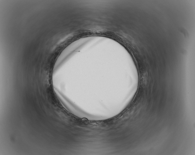 X0000113321205200910131121