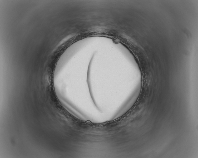 X0000113321206200910131121