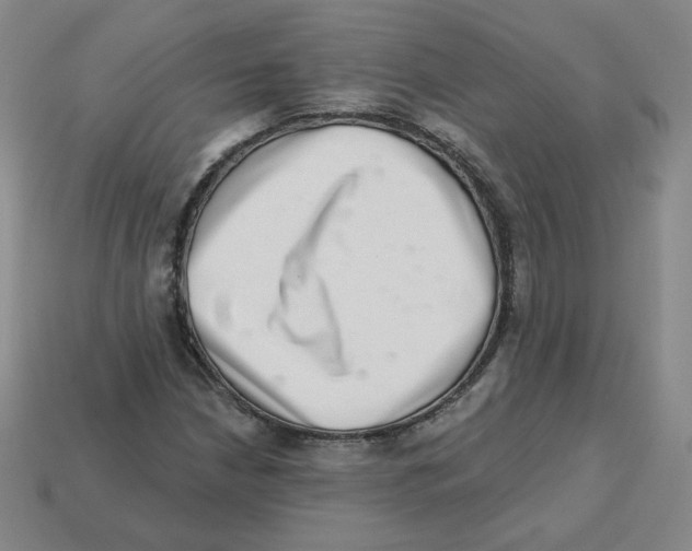 X0000113321210200910131121