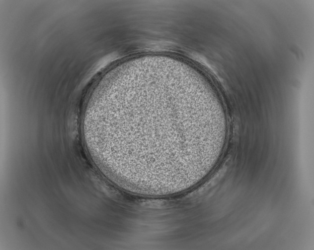 X0000113321211200910131121