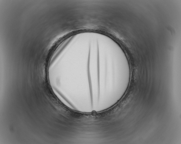 X0000113321214200910131121