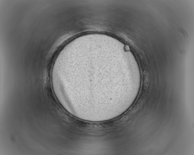 X0000113321215200910131121