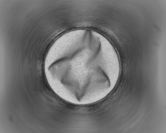 X0000113321217200910131121