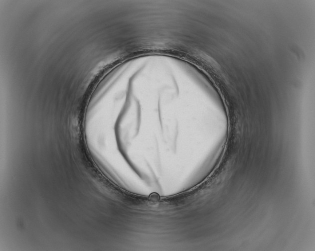 X0000113321218200910131121