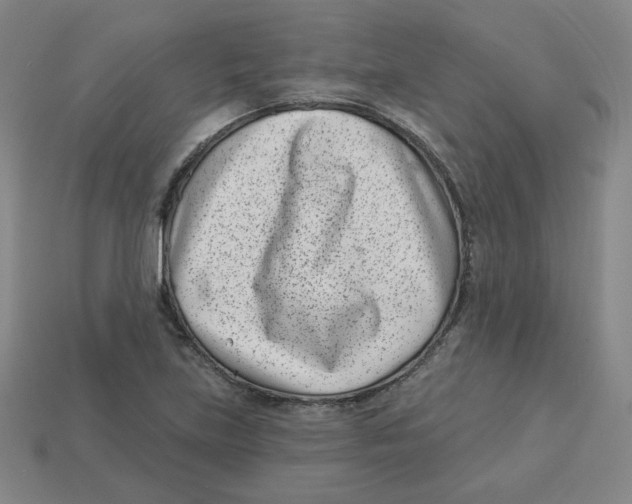 X0000113321219200910131121