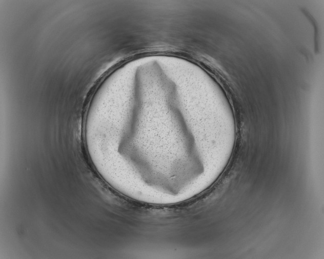 X0000113321220200910131121