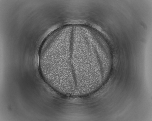 X0000113321221200910131121