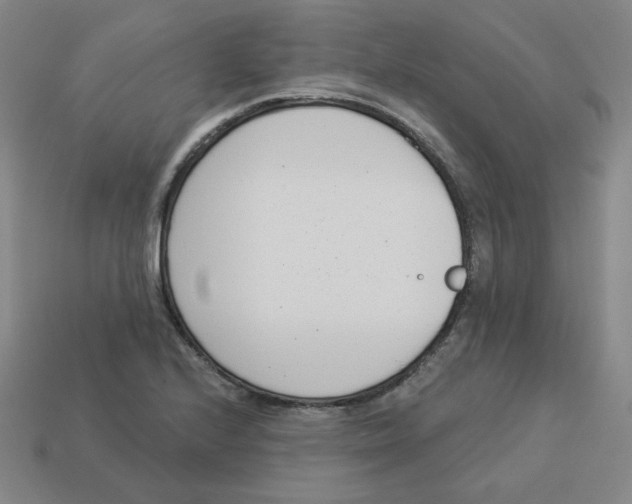 X0000113321224200910131121