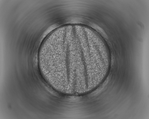 X0000113321226200910131121