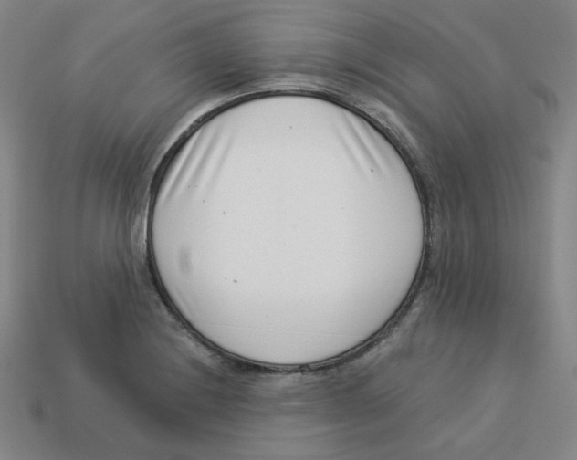 X0000113321228200910131121