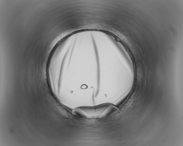 X0000113321230200910131121