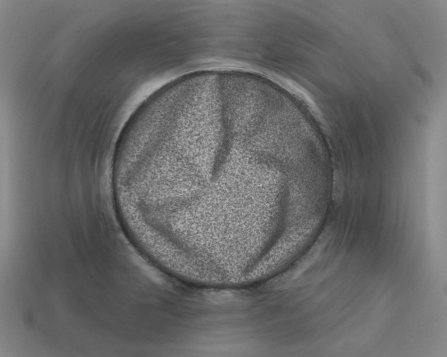 X0000113321231200910131121