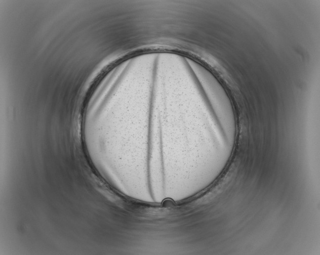 X0000113321232200910131121