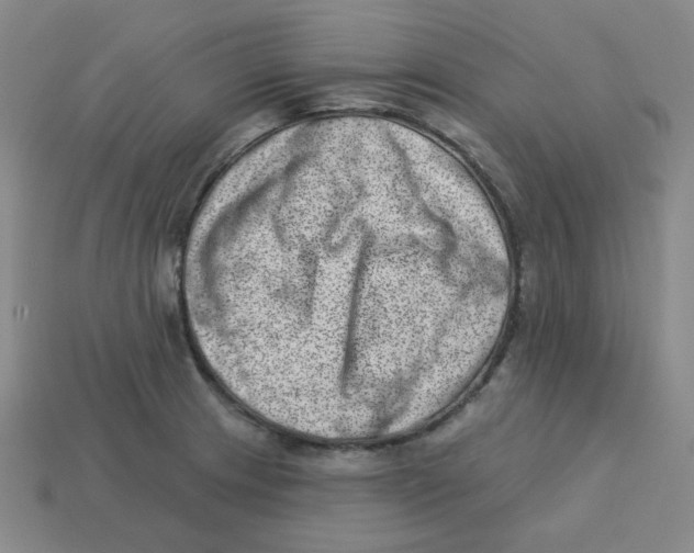 X0000113321233200910131121