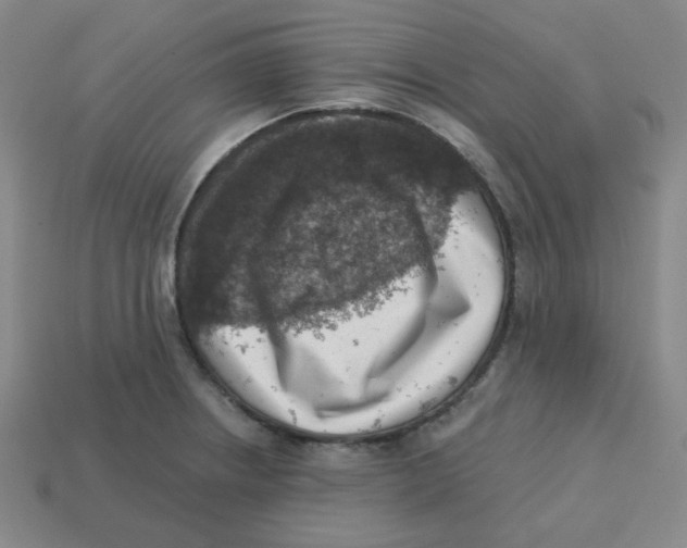 X0000113321234200910131121