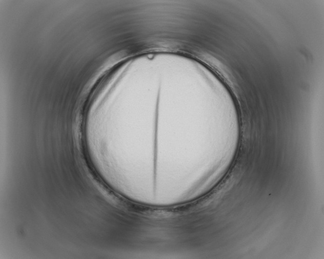 X0000113321235200910131121