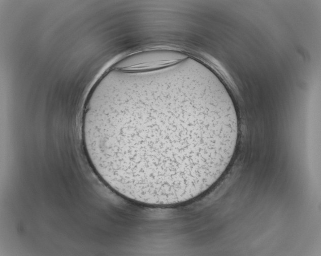 X0000113321236200910131121