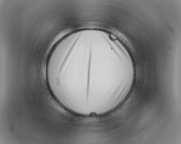 X0000113321238200910131121