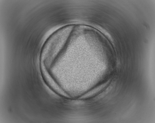 X0000113321239200910131122