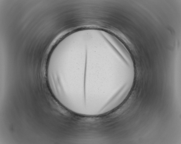 X0000113321240200910131122