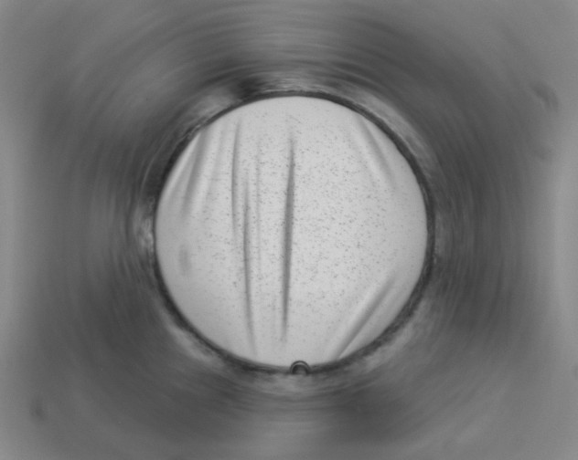 X0000113321241200910131122