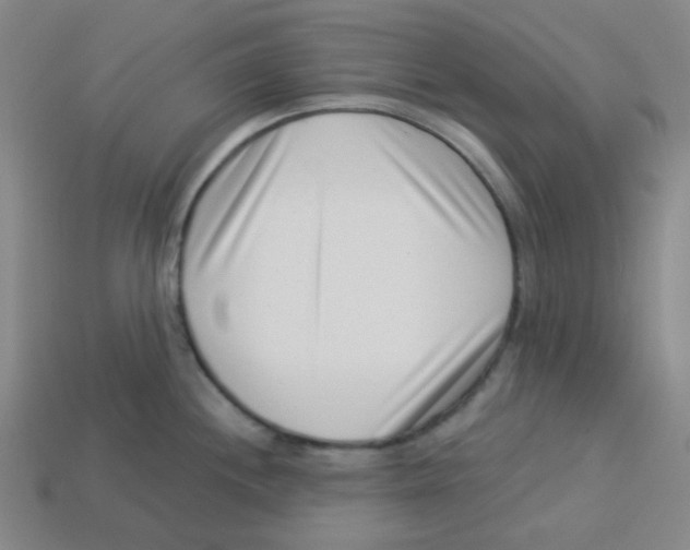 X0000113321244200910131122