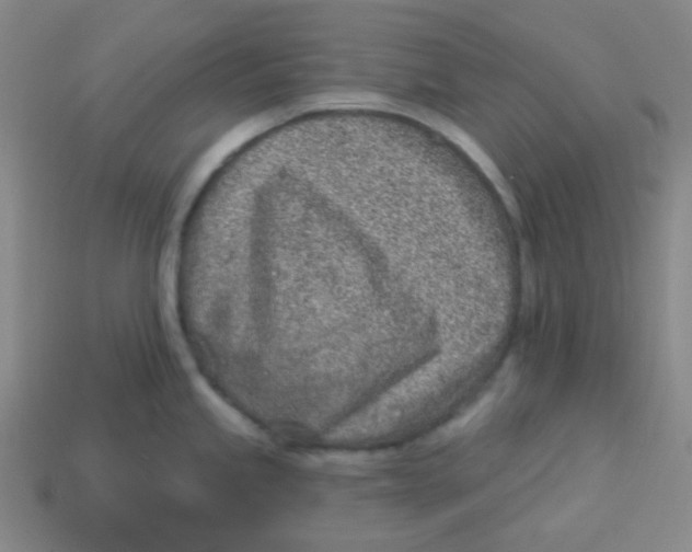 X0000113321245200910131122