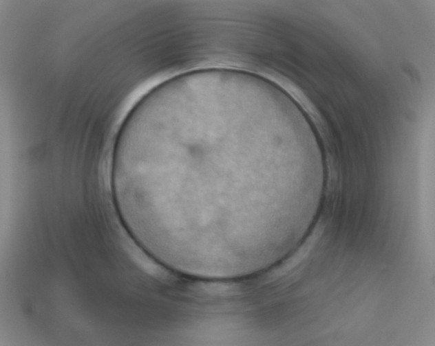 X0000113321246200910131122