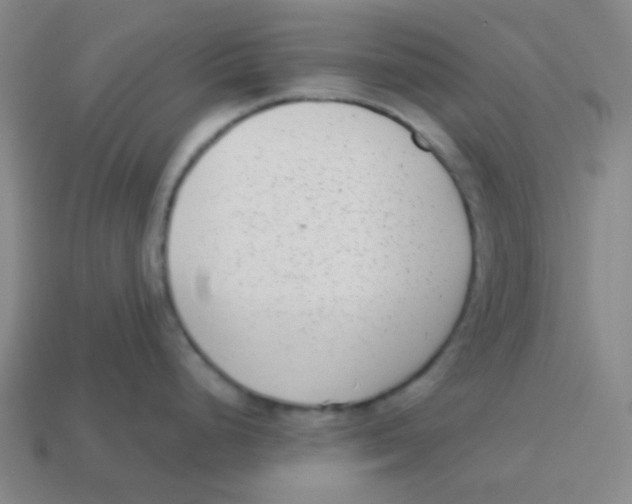 X0000113321248200910131122