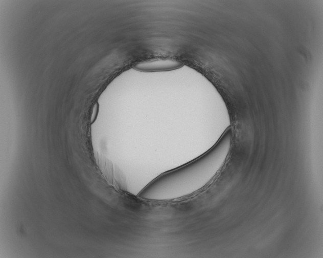 X0000113321249200910131121