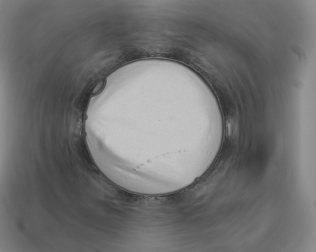 X0000113321251200910131121