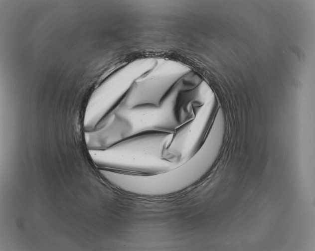 X0000113321252200910131121