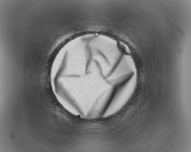 X0000113321256200910131121