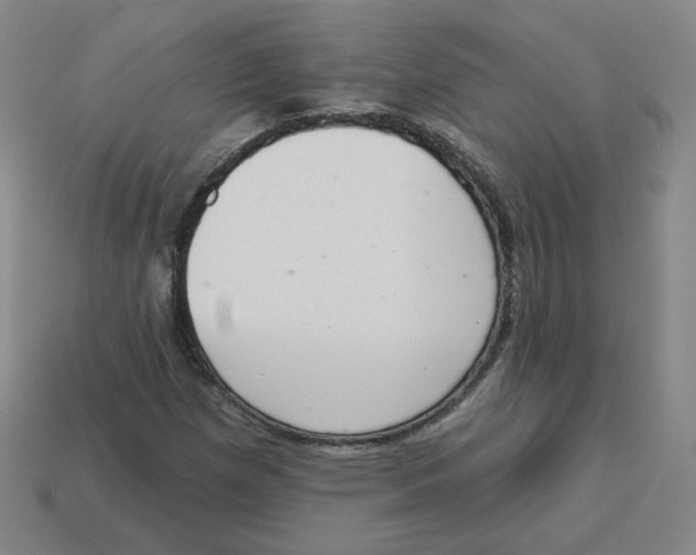 X0000113321257200910131121