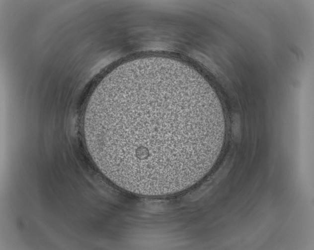 X0000113321258200910131121