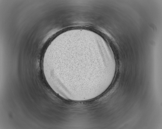 X0000113321259200910131121