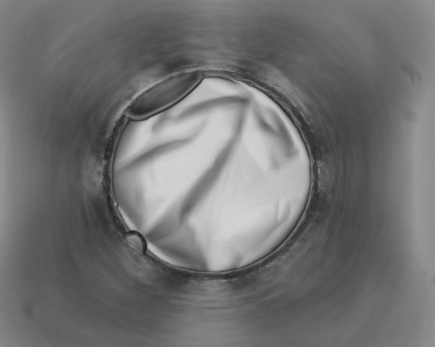 X0000113321260200910131121