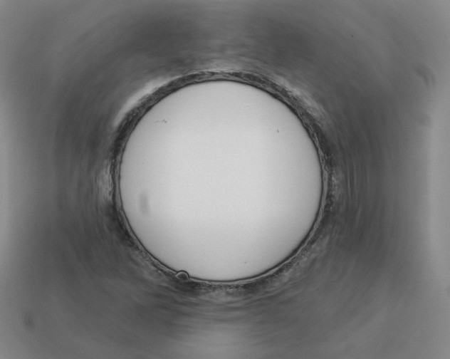 X0000113321262200910131121