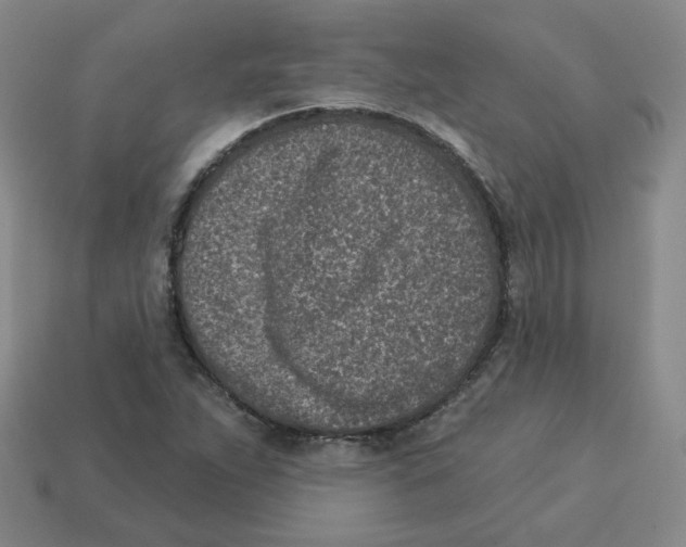 X0000113321263200910131121