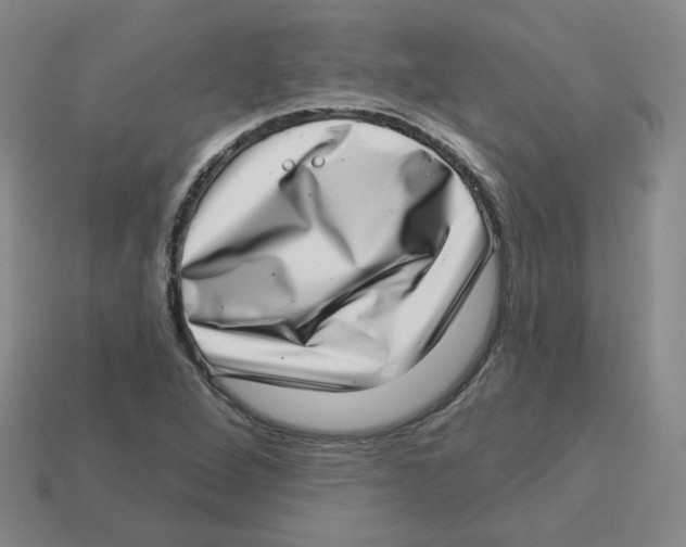 X0000113321264200910131121