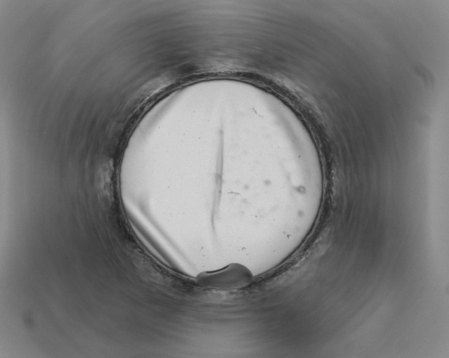 X0000113321265200910131121