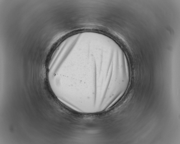 X0000113321267200910131121